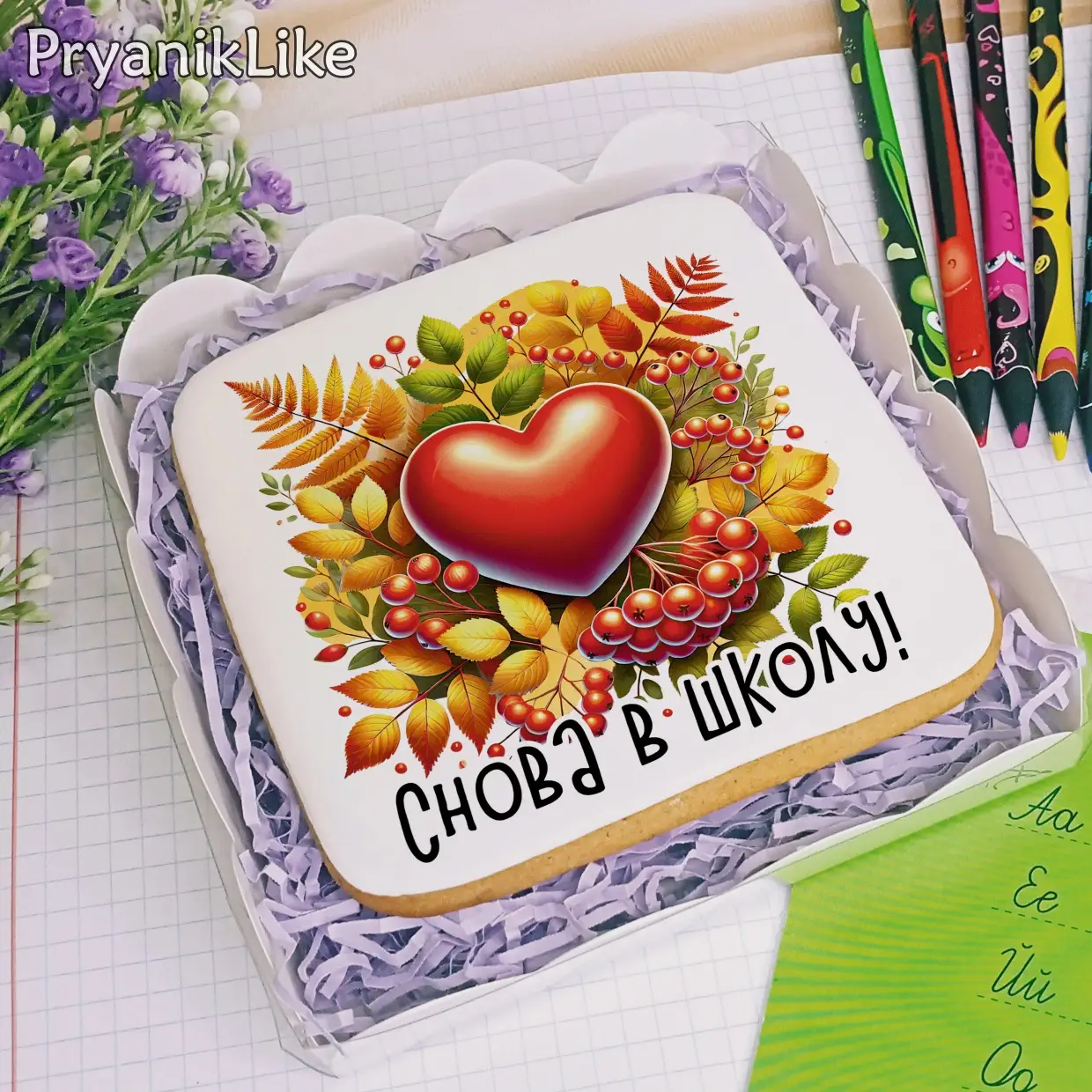 (2024) Белки (10-10)